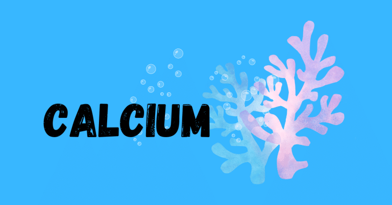 How to Add Calcium to a Reef Aquarium